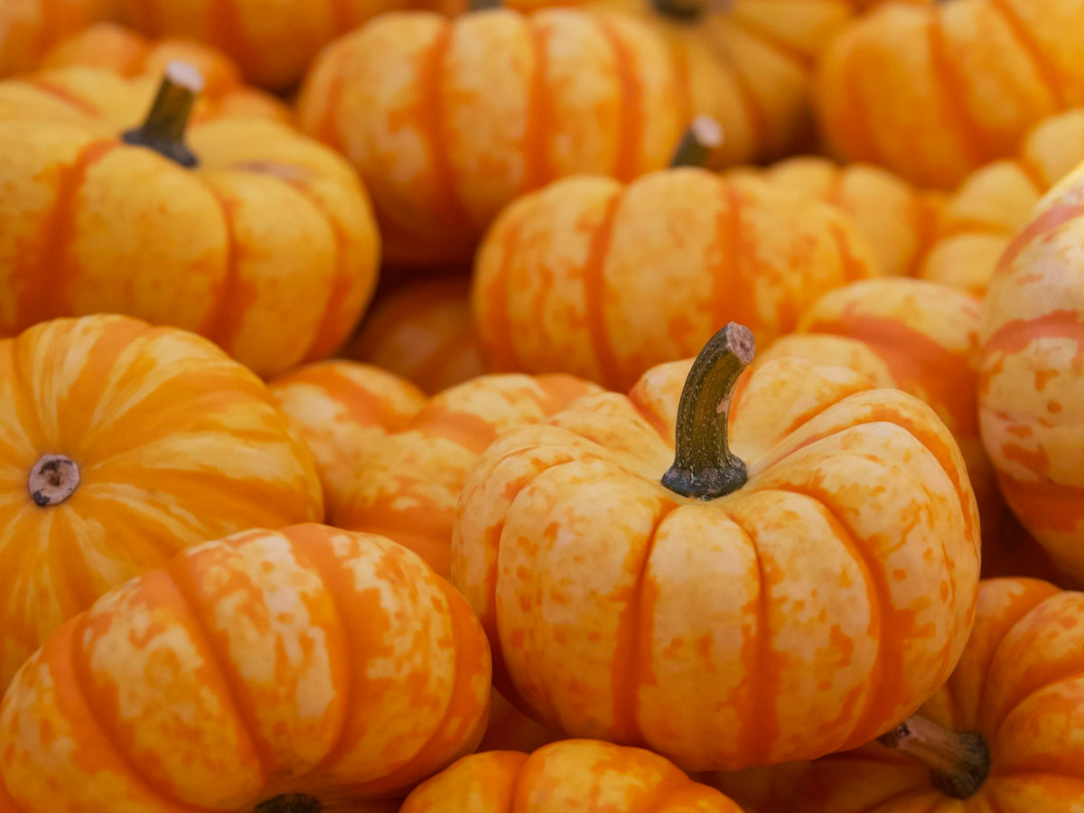 Pile of orange pumpkins (placeholder)