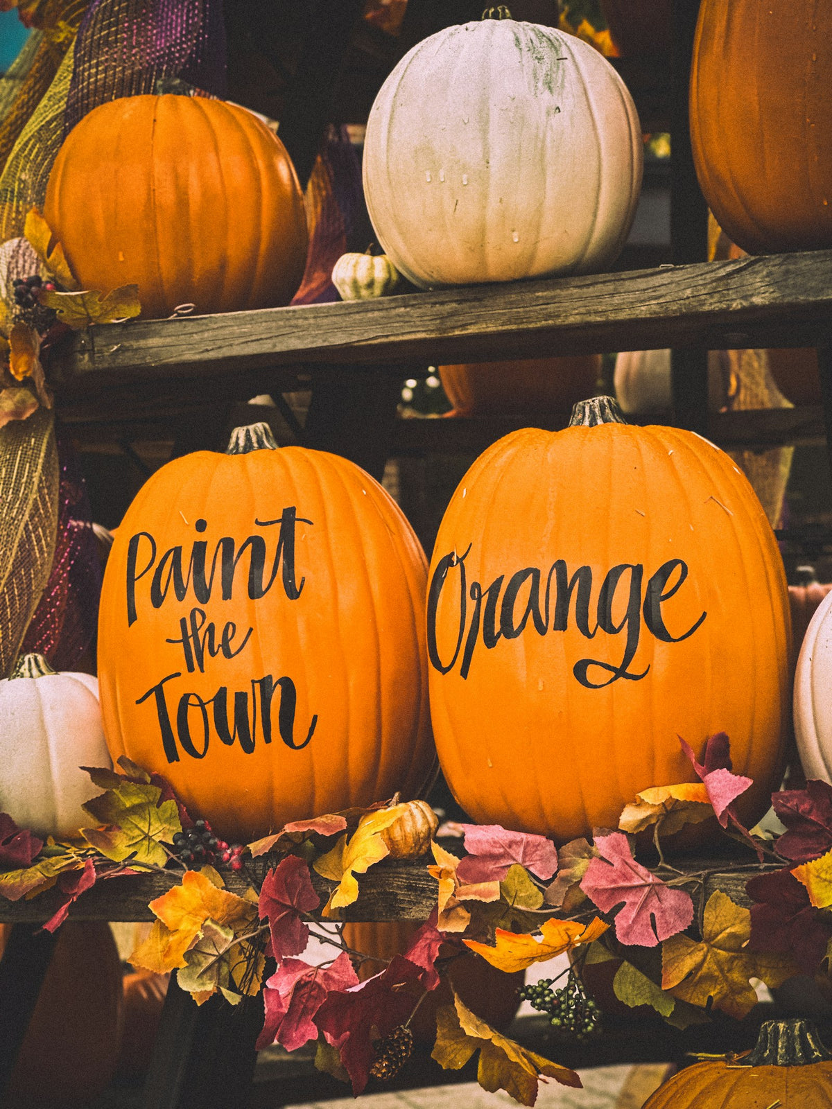 Three painted pumpkins (placeholder)