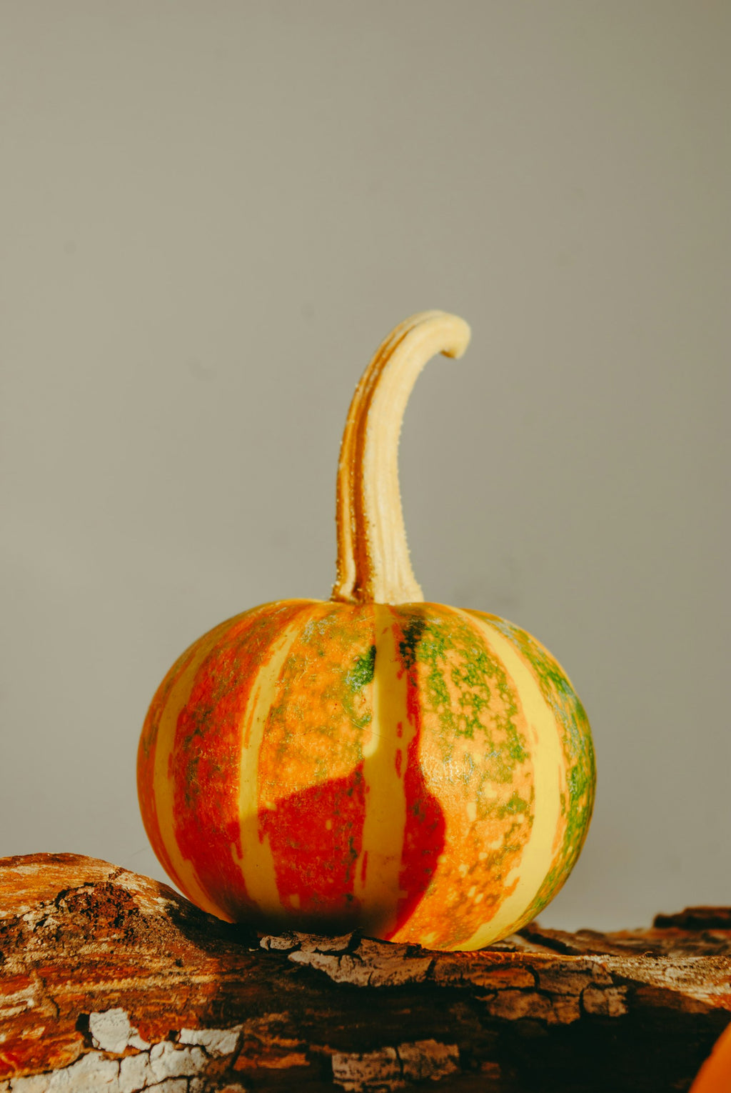Hand-painted pumpkin on a wooden surface (placeholder)